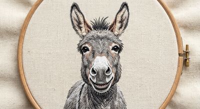 BERNINA Stickdateien