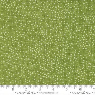 Patchworkstoff "Dotty Thatched Blenders", Pansys Posies, Punkte & Quadrate, grün, 21,50 €/m*