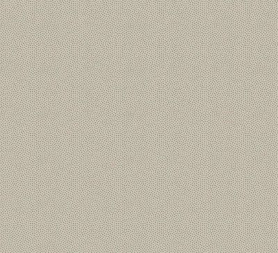 Patchworkstoff Petit Points Patchworkstoff Petit Points "Grey Stone", kleine Punkte in sand-grau 19,00 €/m*
