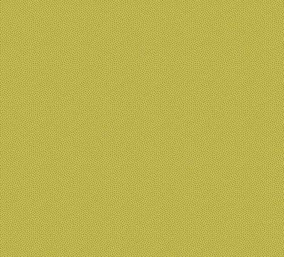 Patchworkstoff Petit Points Patchworkstoff Petit Points "Lime Green", kleine Punkte in hellgrün, 19,00 €/m*