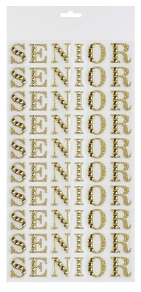 1” SENIOR stickers- 20 cards/pack, 10 repeats/card- gold or silver