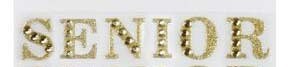 1&quot; SENIOR sticker letters- gold or silver, single word