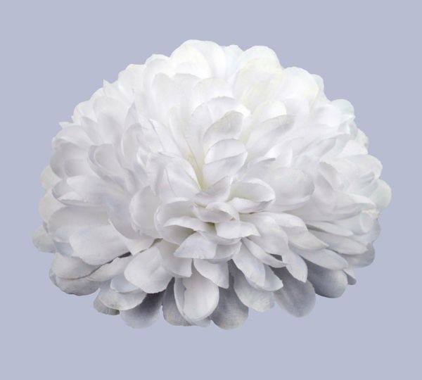 VALUE Mum flowers- multiple sizes- packages, name: 5.5&quot; wht- doz