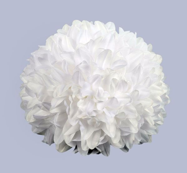 VALUE Mum flowers- multiple sizes- packages