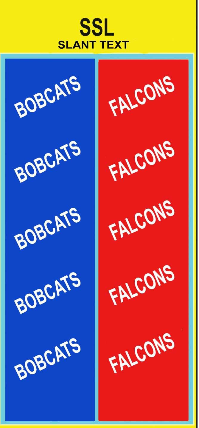 MASCOT Name Slant text custom imprint ribbon