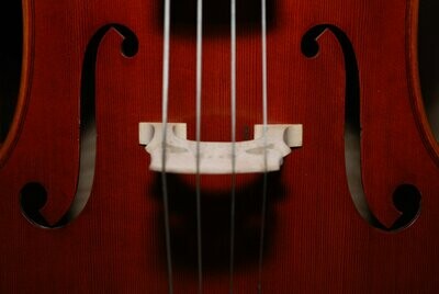 Bowed instrument strings
