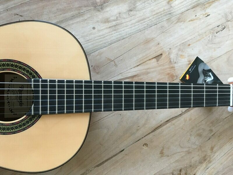 Raimundo 129P Profesor. Classical Concert Guitar. Order Code:  RAI2039500