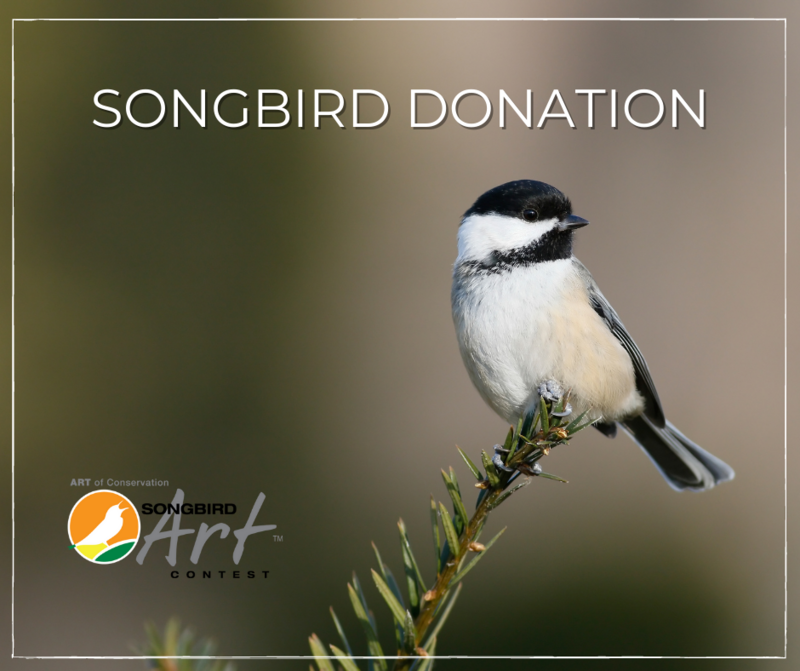 Songbird Donation