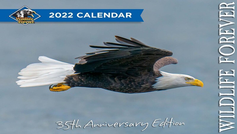 2022 Wildlife Forever Calendar