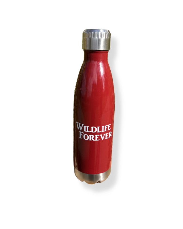 Brick Red Insulated Bottle