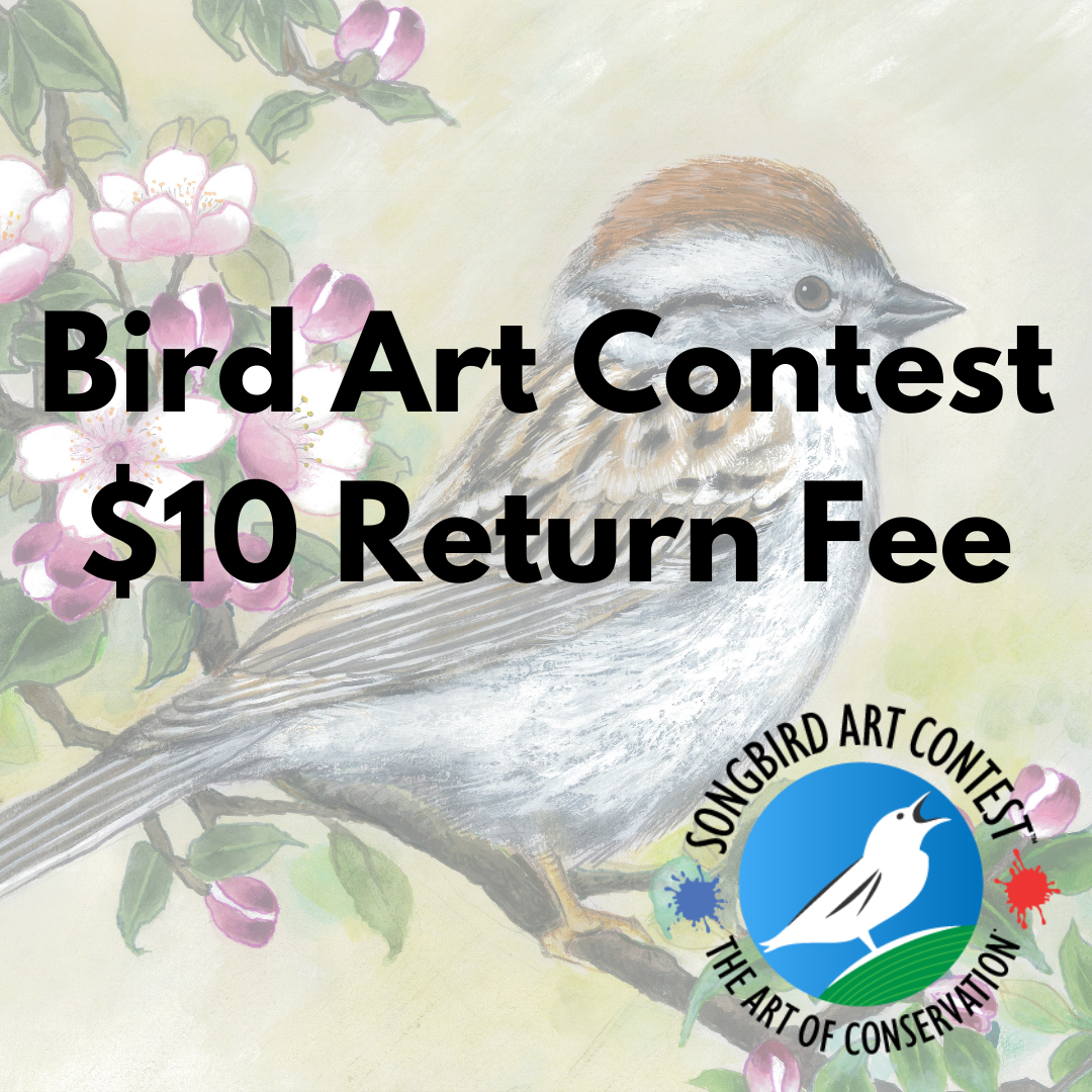 Songbird Art Contest - Artwork Return Fee