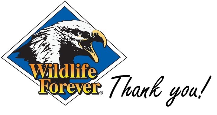 Donate to Wildlife Forever