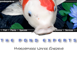 Hydrosphere - The Koi Pond Experts