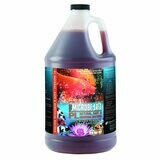 Microbe-Lift PL Bacteria - Gallon