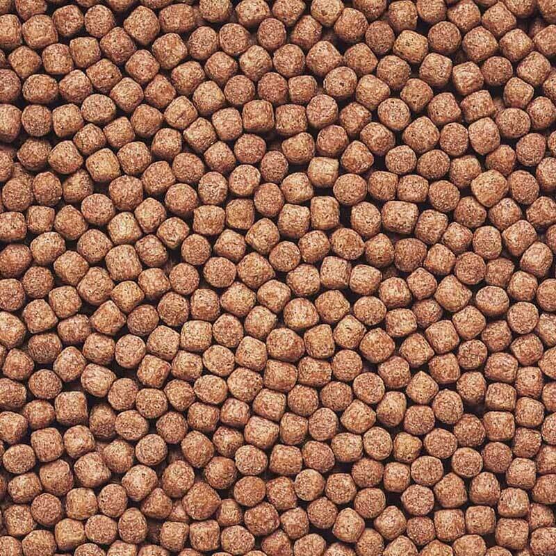 Hikari Wheat Germ Koi Food - 4.4 lb Med Pellet