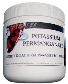 Potassium Permangante - 1/4 lb