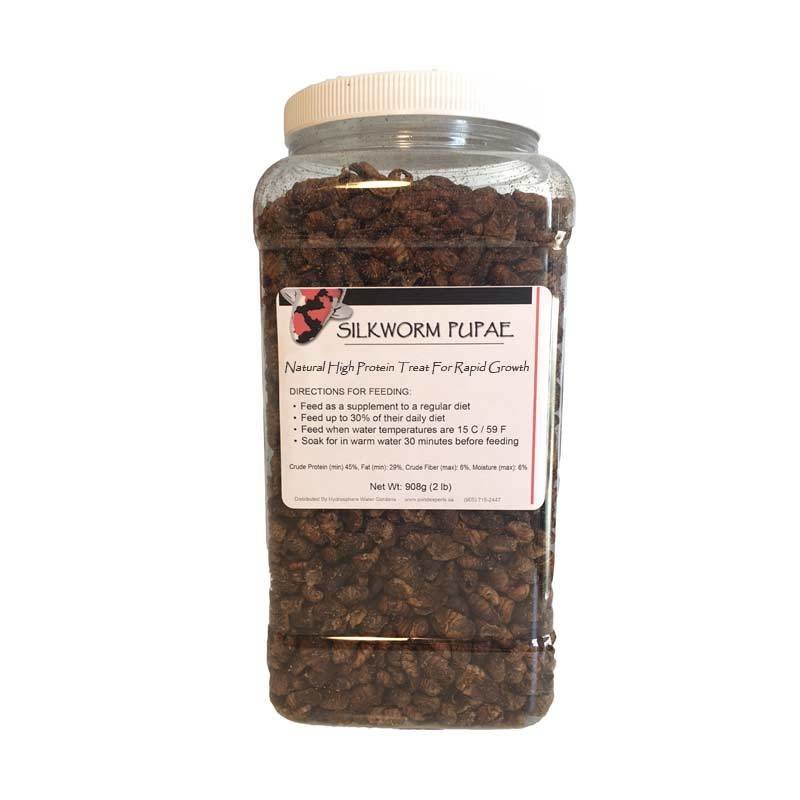 Silkworm Pupae High Protein Koi Treat - 900 g