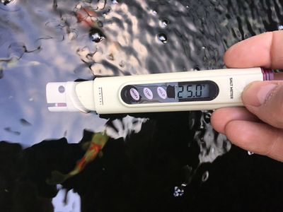 Economy Pond Salinity Tester