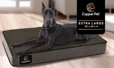 XL: Anti-Microbial Orthopedic Waterproof Dog Bed 45 XL: Anti-Microbial Orthopedic Waterproof Dog Bed 45