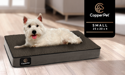 S: Anti-Microbial Orthopedic Waterproof Dog Bed 25 S: Anti-Microbial Orthopedic Waterproof Dog Bed 25