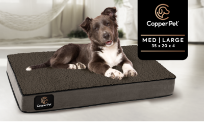 M/L: Anti-Microbial Orthopedic Waterproof Dog Bed 35 M/L: Anti-Microbial Orthopedic Waterproof Dog Bed 35