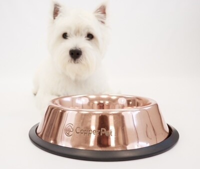 Copper Water Bowl Copper Water Bowl