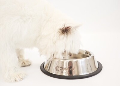CopperPet Stainless Steel Food Bowl CopperPet Stainless Steel Food Bowl