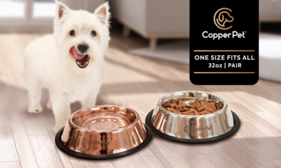 Copper Water Bowl and Stainless Steel Food Bowl Pair Copper Water Bowl and Stainless Steel Food Bowl Pair