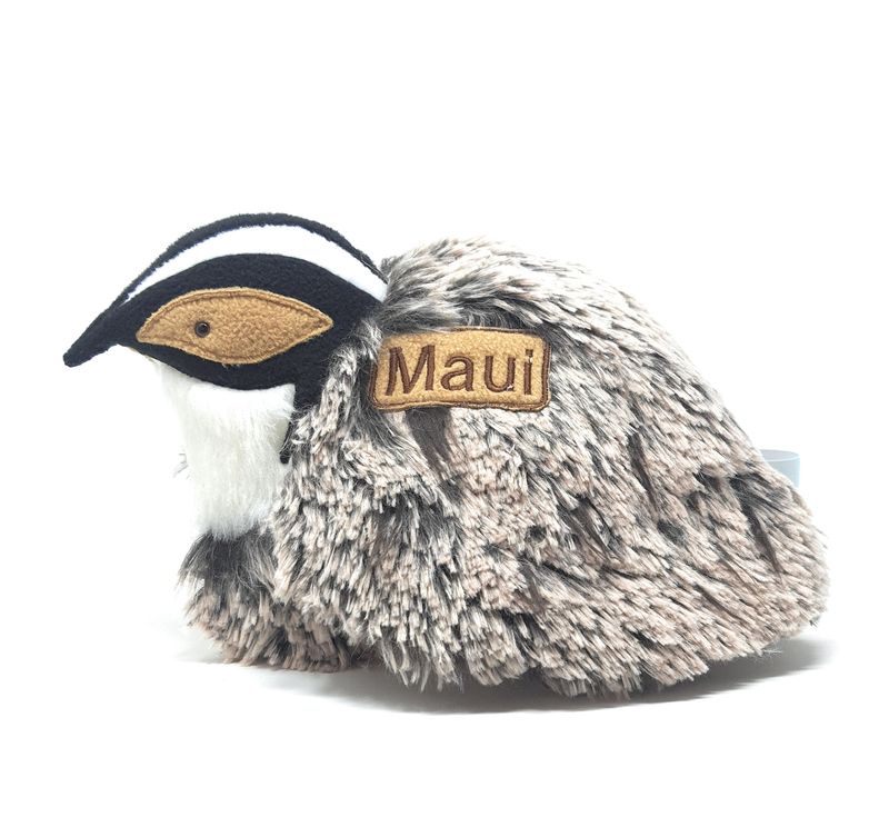 Wachtel personalisiertes Kuscheltier für Spieluhr Gr. 30 cm,  mit Namen und Wunschmelodie zum Wählen, ausgefallenes, individuelles Geschenk für jeden Wachtel- Fan
