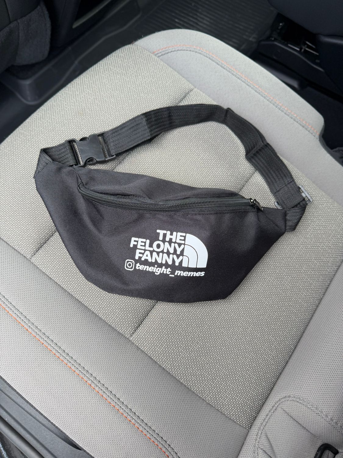 The Felony Fanny
