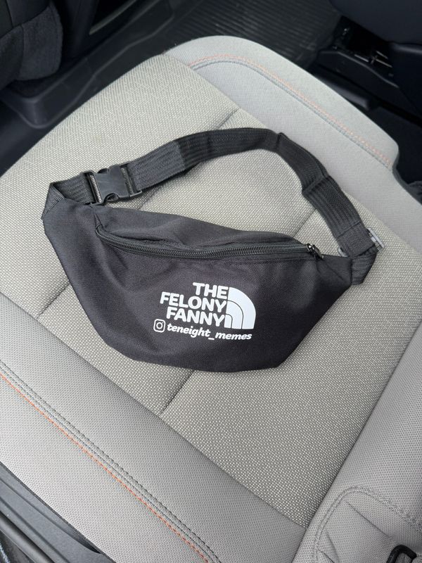 The Felony Fanny