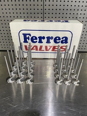 Ferrea RB26 shimless valve set
