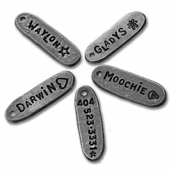 The Skinny  (free shipping!)