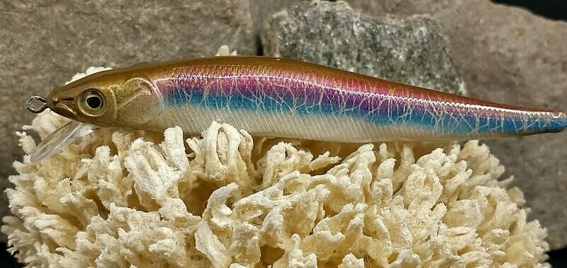 Rainbow Smelt