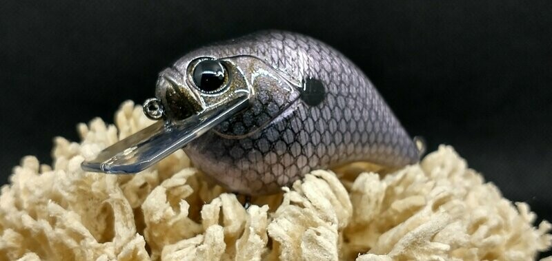 Shadow Shad