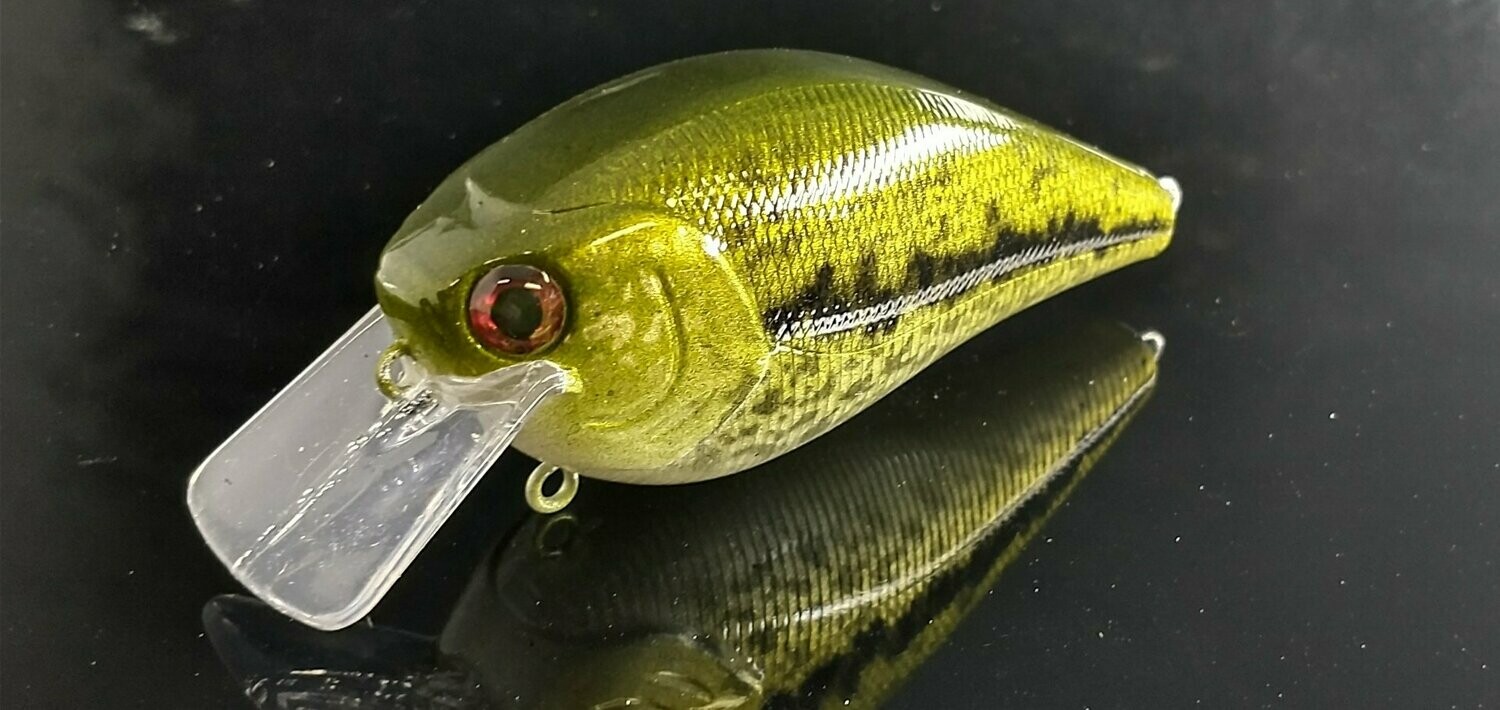 Baby Bass