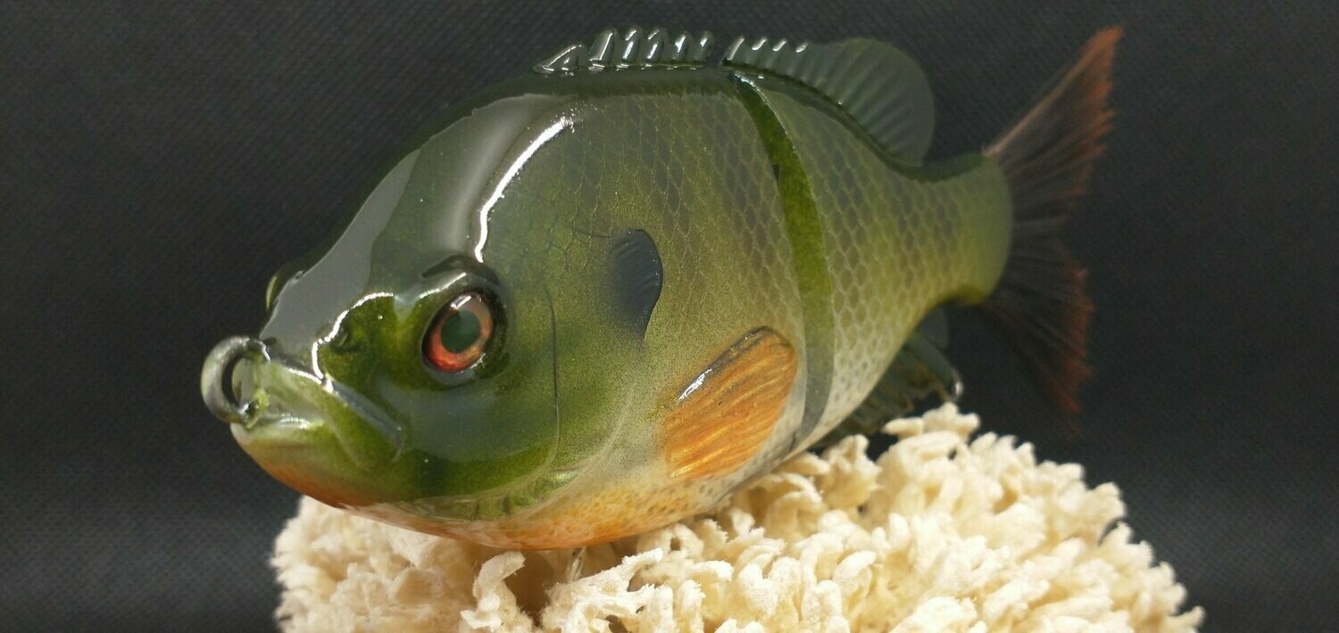 Brush Tail Bluegill Glide