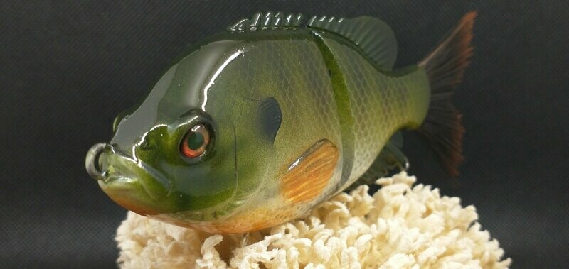Brush Tail Bluegill Glide