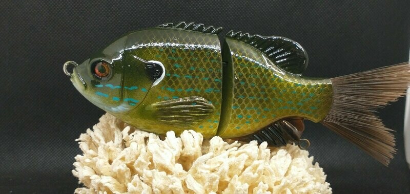 Green Sunfish Brush Tail Glide
