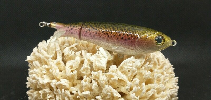 Rainbow Trout
