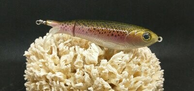 Rainbow Trout