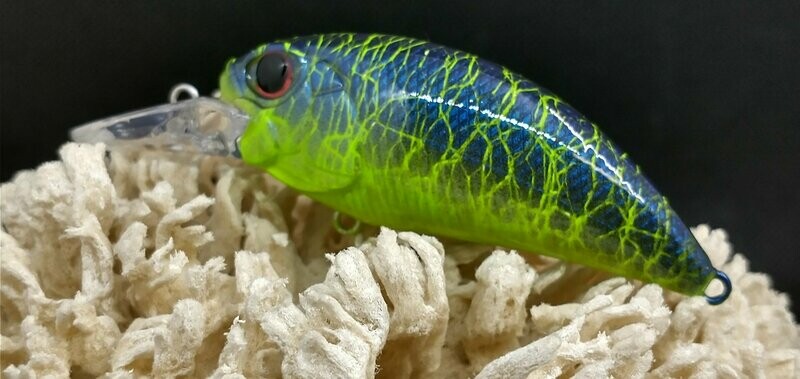 Backwater Blue 