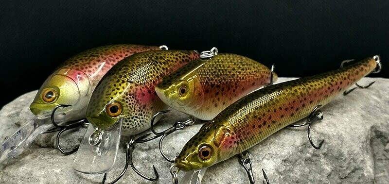 School of Bait- Rainbow Trout