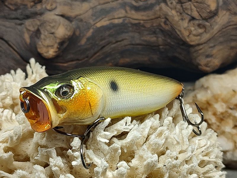 Ra Shad Popper