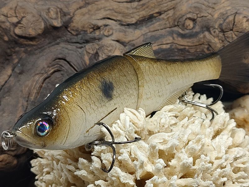 Tennessee Shad Glide