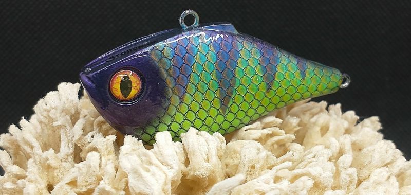 Dragon Perch Rippin Lipless