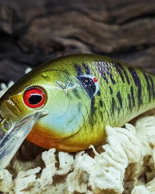 Crankbaits