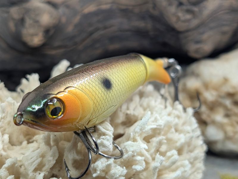 Ra Shad 100mm Plopper