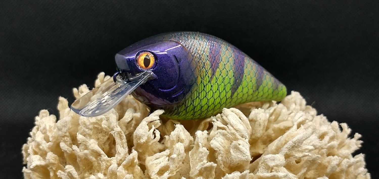Dragon Perch