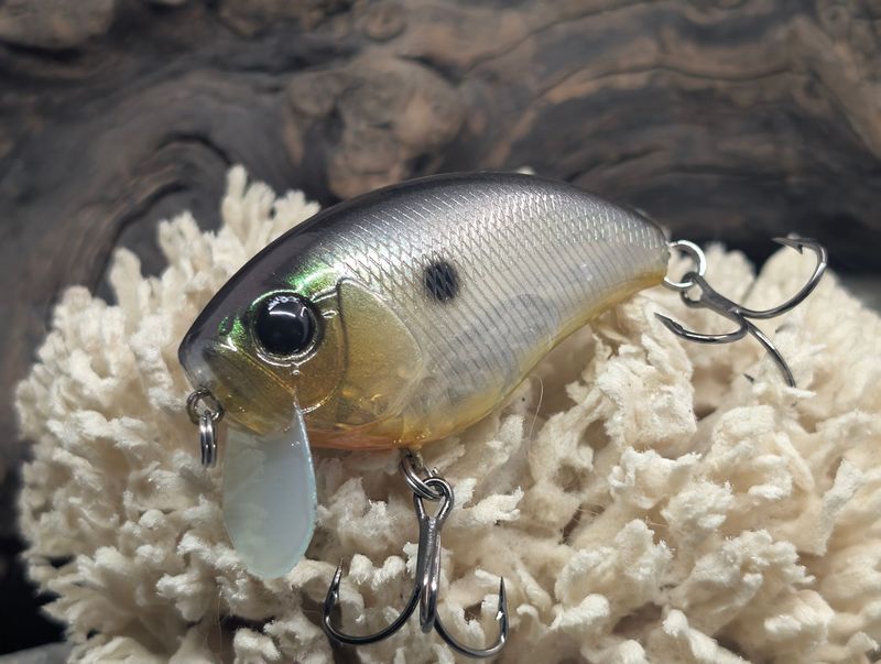 Ghost of Ra Ghost of Ra